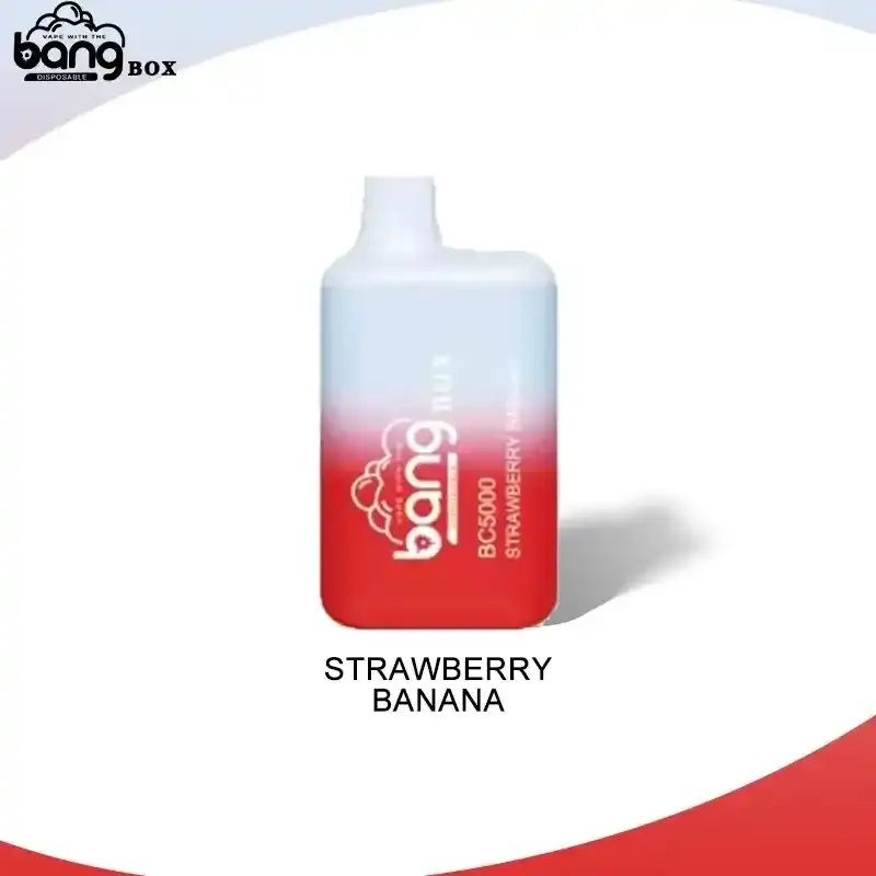 Bang Box BC 5K(5000) Puffs 2% 5% Nicotine 13ml E-liquid Type C Charging Disposable Vape Pen