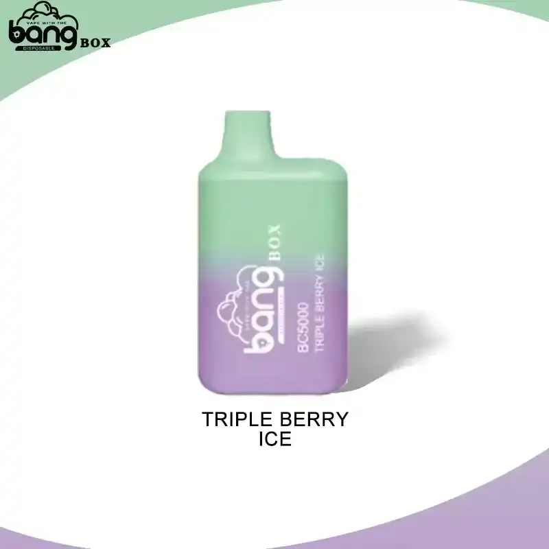 Bang Box BC 5K(5000) Puffs 2% 5% Nicotine 13ml E-liquid Type C Charging Disposable Vape Pen