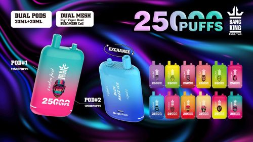 Bang King 25000 puff Disposable Vape 25k Dual Pods