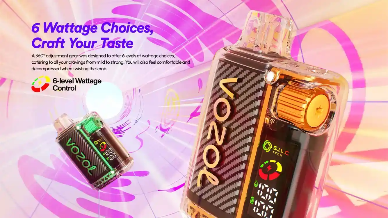 Vozol Vista 20K (20000) Puffs LCD Screen 24mL E-liquid 0% 2% 5% Nicotine USB Type-C Charging Disposable Vape