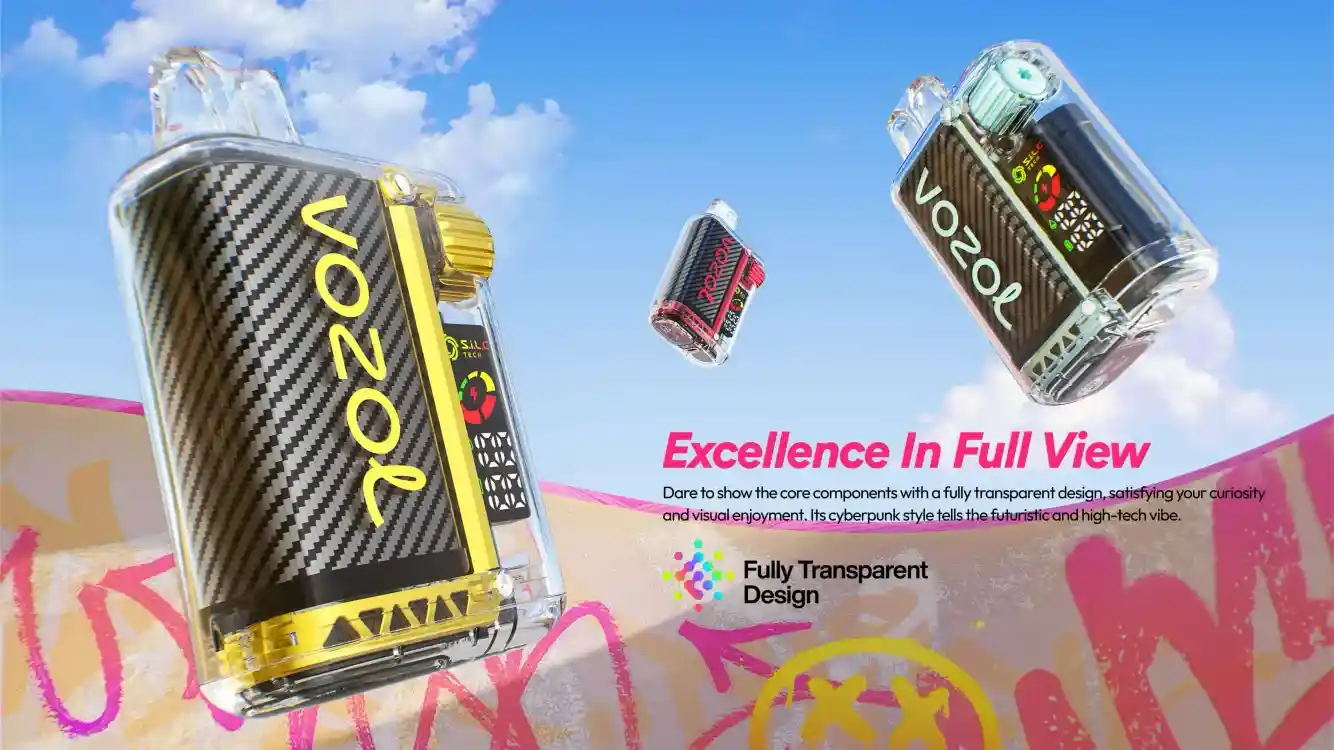 Vozol Vista 20K (20000) Puffs LCD Screen 24mL E-liquid 0% 2% 5% Nicotine USB Type-C Charging Disposable Vape