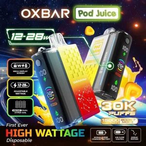 Big puff vapes