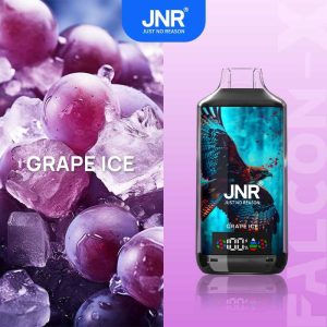 JNR Falcon-X 18K(18000) Puffs LED Display 2% nicotine 24ml E-liquid Disposable Vape