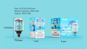 JNR MEGA SHISHA HOOKAH 100K(100000) Puffs 2% 5% Nicotine 2200mAh Rechargeable Battery Direct-to-Lung (DTL) Vaping 60mL E-liquid Ultimate Vape