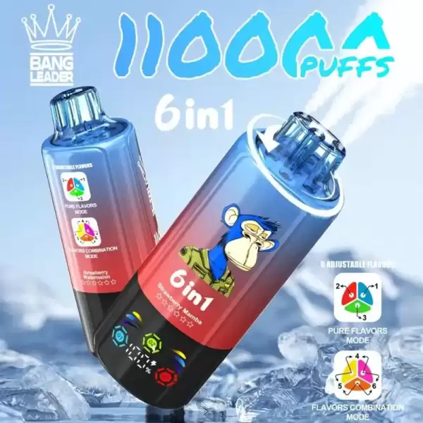 Bang Leader 110K (110000) Puffs 6 In 1 Flavors Newest Original 850MAh Rechargeable Battery 2% 3% 5% Nicotine LED Smart Screen Disposable Vape 1 Bang Leader 110K Puffs Disposable Vape