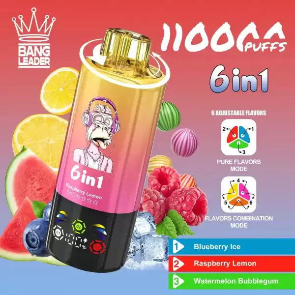Bang Leader 110K (110000) Puffs 6 In 1 Flavors Newest Original 850MAh Rechargeable Battery 2% 3% 5% Nicotine LED Smart Screen Disposable Vape 10 Bang Leader 110K Puffs Disposable Vape