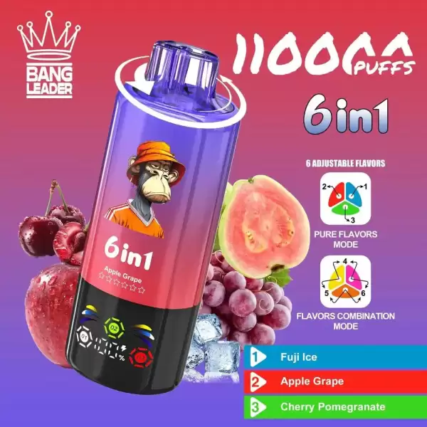 Bang Leader 110K (110000) Puffs 6 In 1 Flavors Newest Original 850MAh Rechargeable Battery 2% 3% 5% Nicotine LED Smart Screen Disposable Vape 9 Bang Leader 110K Puffs Disposable Vape