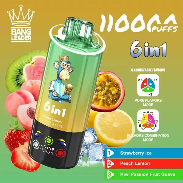Bang Leader 110K (110000) Puffs 6 In 1 Flavors Newest Original 850MAh Rechargeable Battery 2% 3% 5% Nicotine LED Smart Screen Disposable Vape 4 Bang Leader 110K Puffs Disposable Vape