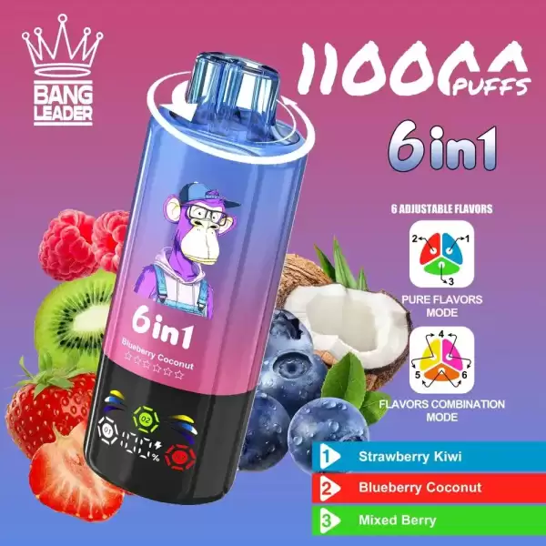 Bang Leader 110K (110000) Puffs 6 In 1 Flavors Newest Original 850MAh Rechargeable Battery 2% 3% 5% Nicotine LED Smart Screen Disposable Vape 3 Bang Leader 110K Puffs Disposable Vape