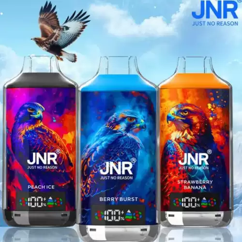 JNR Falcon X 18K (18000) Puffs LED Display 2% Nicotine 24ml E-liquid Disposable Vape