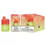 Bang Box BC 5K(5000) Puffs 2% 5% Nicotine 13ml E-liquid Type C Charging Disposable Vape Pen