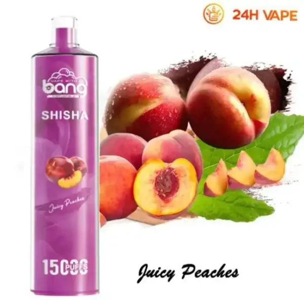Bang SHISHA 15K(15000) Puffs 0% 2% 3% 5% Nicotine 600mAh Battery 23ml Oil Disposable Vape Pen