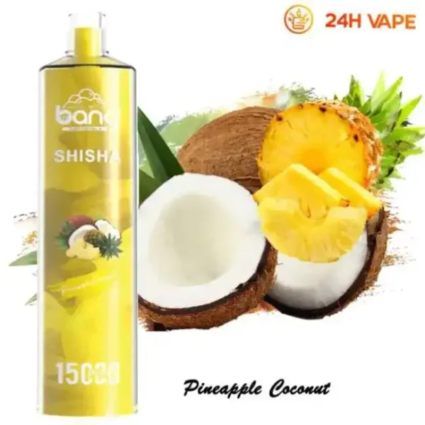 Bang SHISHA 15K(15000) Puffs 0% 2% 3% 5% Nicotine 600mAh Battery 23ml Oil Disposable Vape Pen