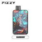 Fizzy Pandora 12K (12000) Puffs 20ML E-liquid LCD display Mesh Coil 650 mAh Battery 2% 5% Nicotine 12flavors Disposable Vape