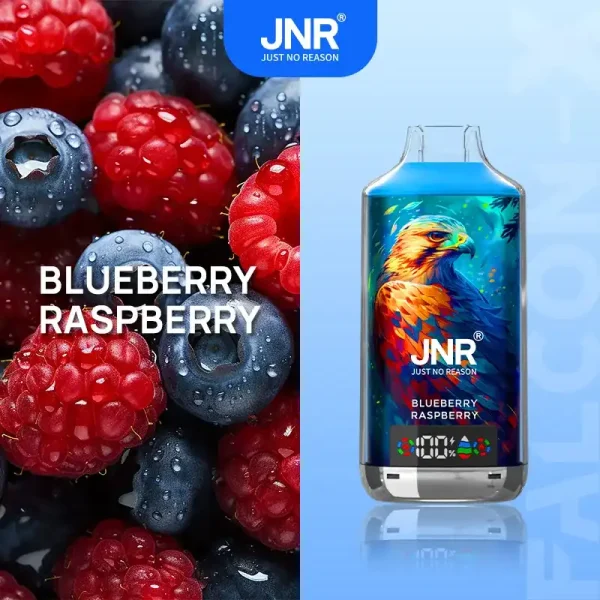 JNR Falcon X 18K (18000) Puffs LED Display 2% Nicotine 24ml E-liquid Disposable Vape