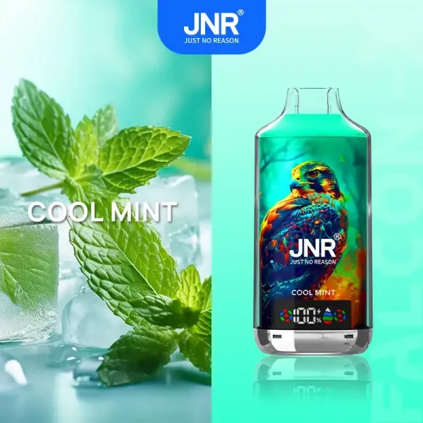 JNR Falcon X 18K (18000) Puffs LED Display 2% Nicotine 24ml E-liquid Disposable Vape