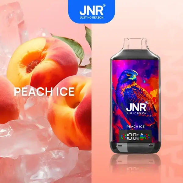 JNR Falcon X 18K (18000) Puffs LED Display 2% Nicotine 24ml E-liquid Disposable Vape