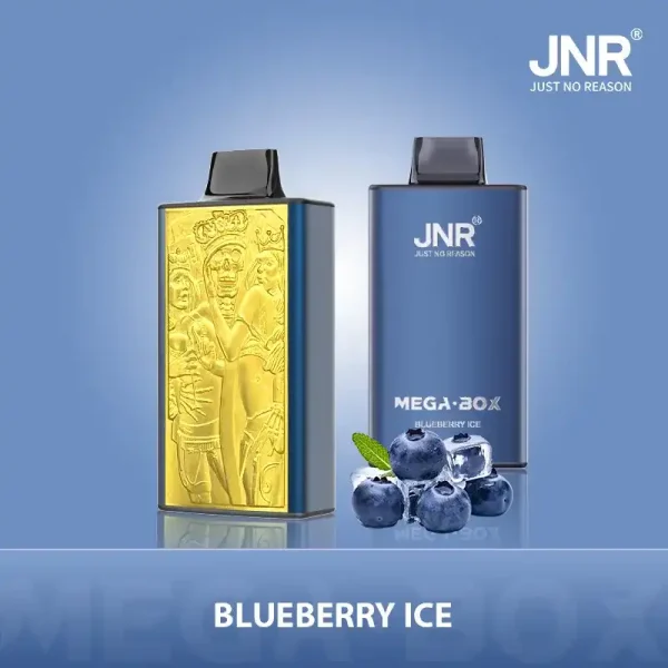 JNR Mega Box 25K (25000) Puffs 3D Texture 2% 5% Nicotine 30ML E-liquid 850mAh Powerbank Battery Disposable Vape