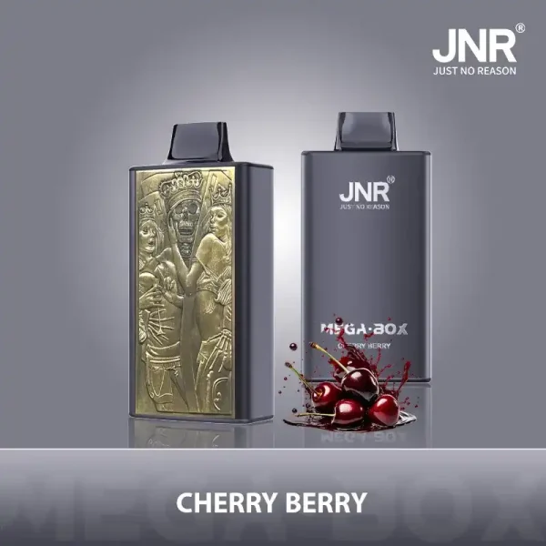 JNR Mega Box 25K (25000) Puffs 3D Texture 2% 5% Nicotine 30ML E-liquid 850mAh Powerbank Battery Disposable Vape