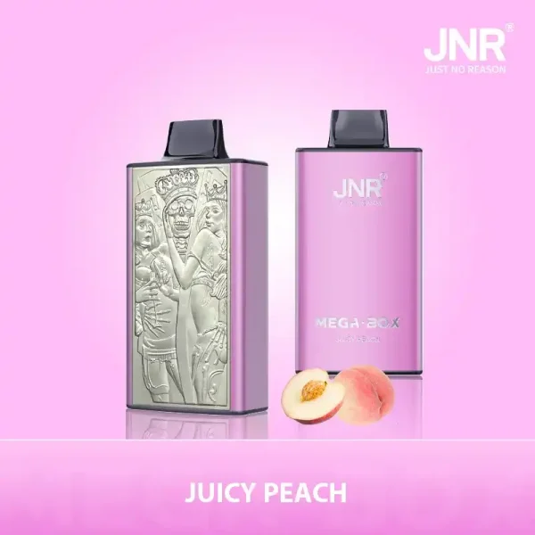 JNR Mega Box 25K (25000) Puffs 3D Texture 2% 5% Nicotine 30ML E-liquid 850mAh Powerbank Battery Disposable Vape