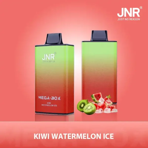 JNR Mega Box 25K (25000) Puffs 3D Texture 2% 5% Nicotine 30ML E-liquid 850mAh Powerbank Battery Disposable Vape