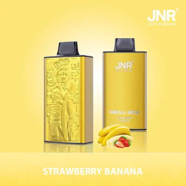 JNR Mega Box 25K (25000) Puffs 3D Texture 2% 5% Nicotine 30ML E-liquid 850mAh Powerbank Battery Disposable Vape
