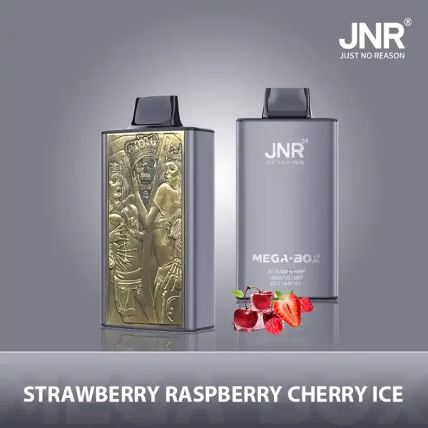 JNR Mega Box 25K (25000) Puffs 3D Texture 2% 5% Nicotine 30ML E-liquid 850mAh Powerbank Battery Disposable Vape