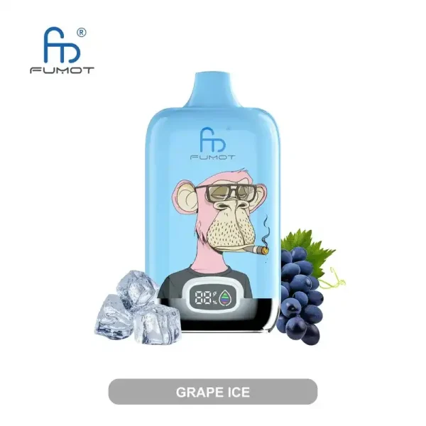 RandM Fumot Digital Box 12K (12000) Puffs 2% 5% Nicotine 20 ML E-liquid 850mAh Battery Disposable Vape