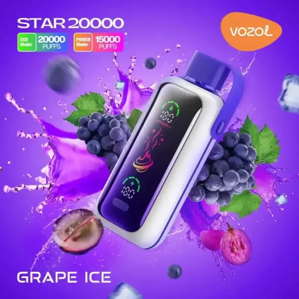 Vozol Star 20K (20000) Puffs Full Screen Display 24mL E-liquid 2% 5% Nicotine Type-C Charging Disposable Vape