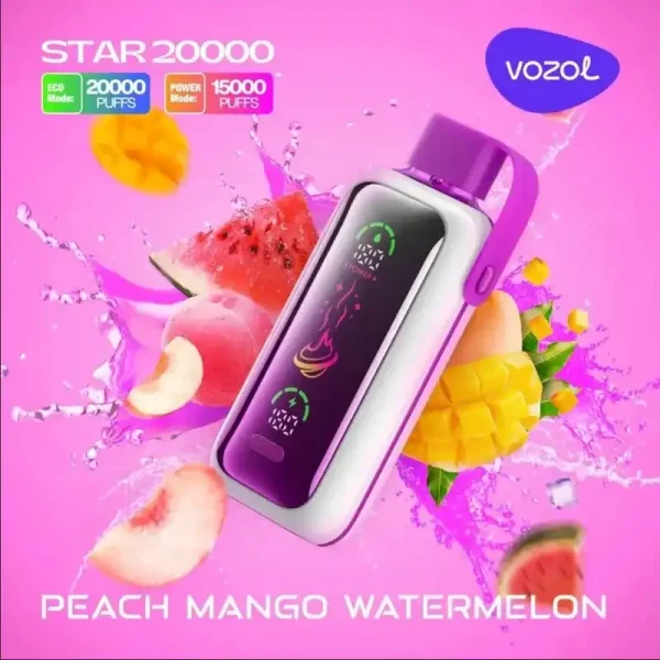 Vozol Star 20K (20000) Puffs Full Screen Display 24mL E-liquid 2% 5% Nicotine Type-C Charging Disposable Vape