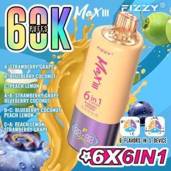 Fizzy Max III 6in1 60K 60000 Puffs Rechargeable Disposable Vape – Strawberry Grape & Blueberry Coconut & Peach Lemon – 10pcs